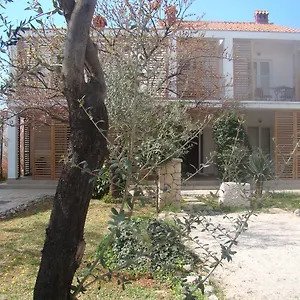 Lipa , Zadar Kroatien